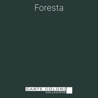 Carte Colori Puro Primer Foresta