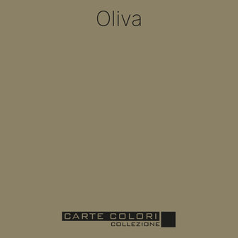 Carte Colori Puro Primer Olive